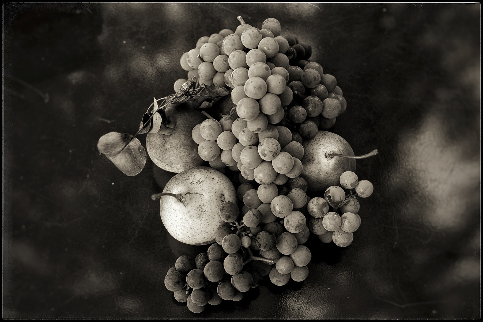 Pears and grapes from our garden
