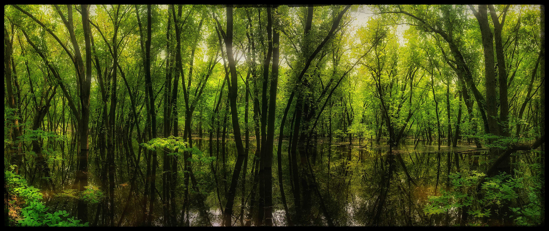 Crosby Farm Park; spring flooding.