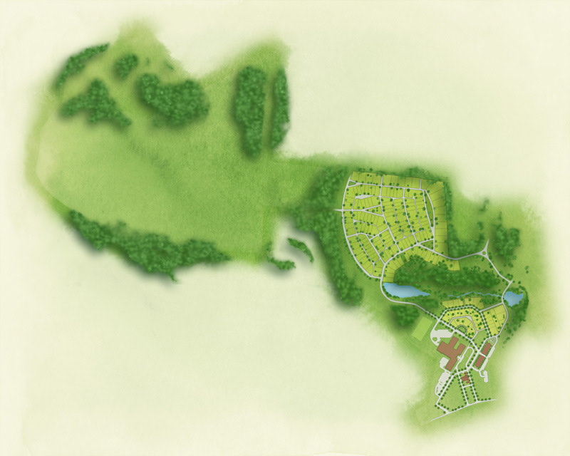 Development