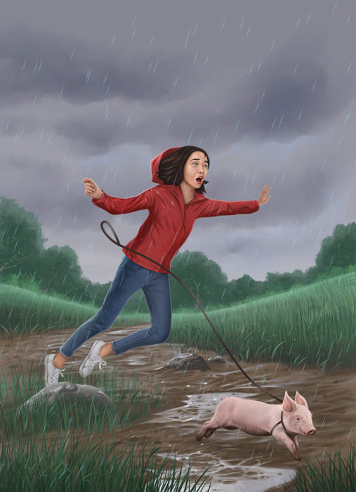 Red Hill Farm | book cover