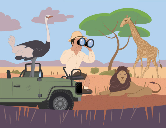Safari