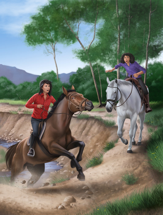 Into The Wild | Book cover