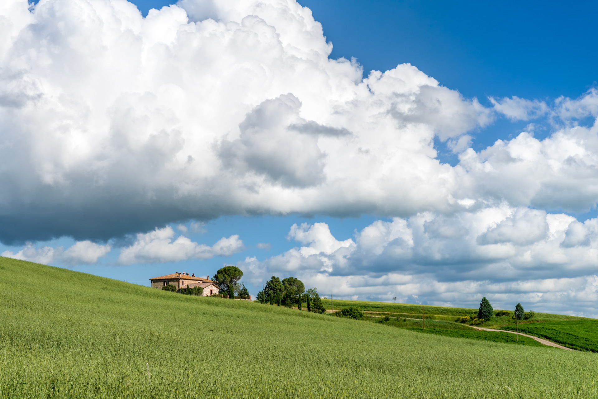 Farmland in Val d'Orcia Tuscany