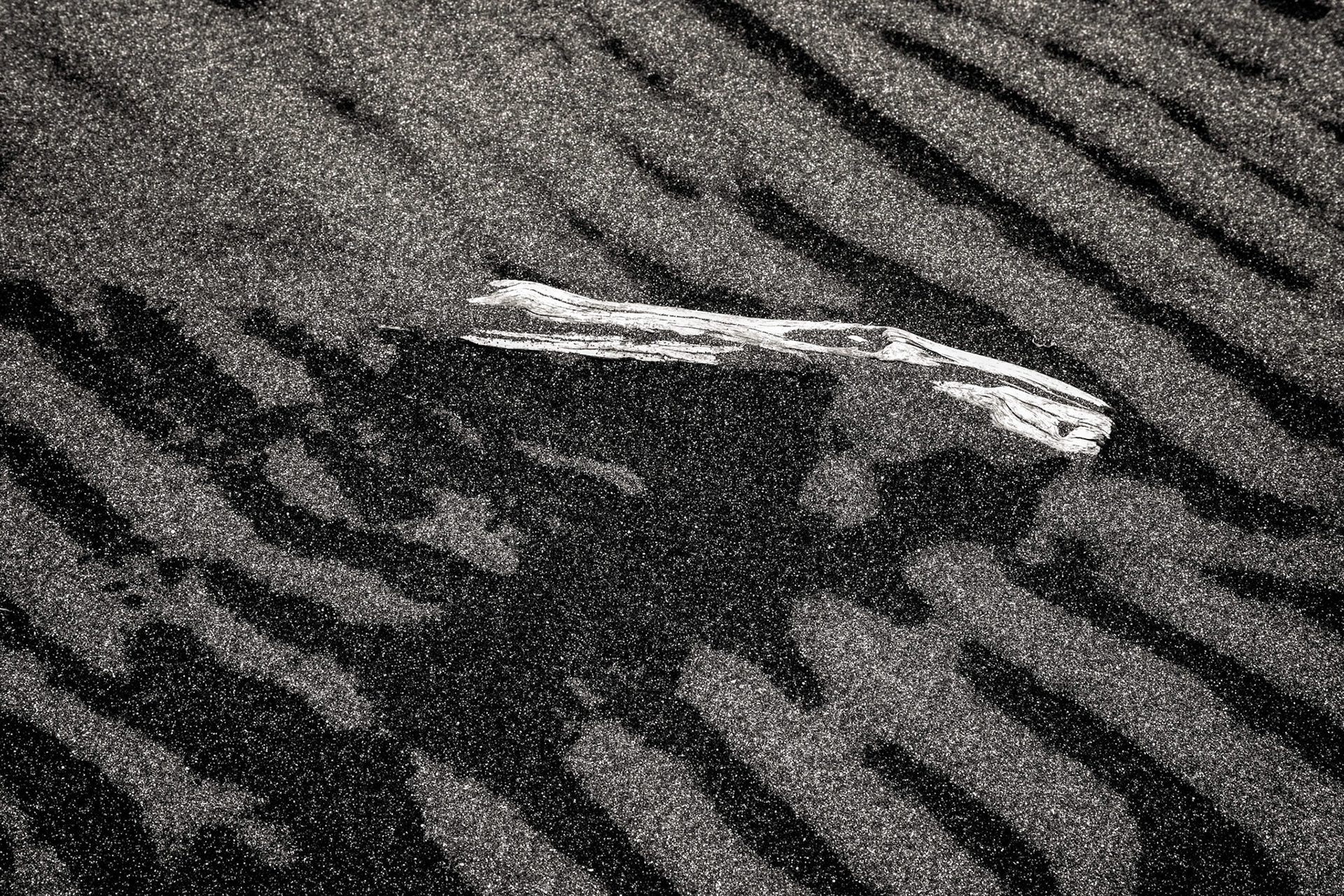 Driftwood on Rarangi Beach