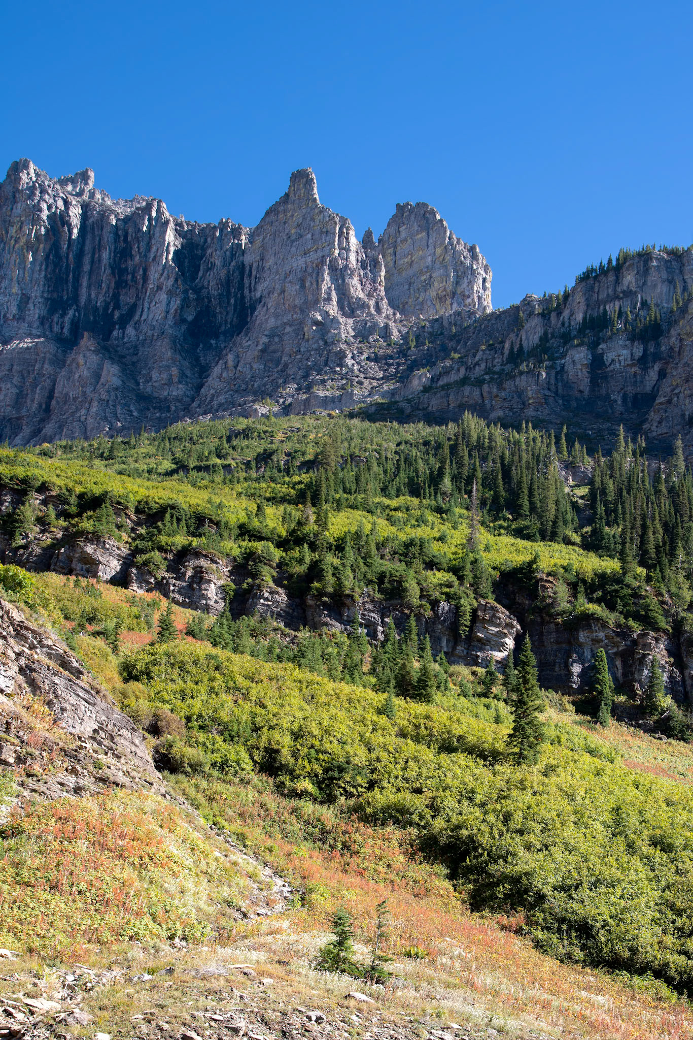 Scenic View of Glacier National Park