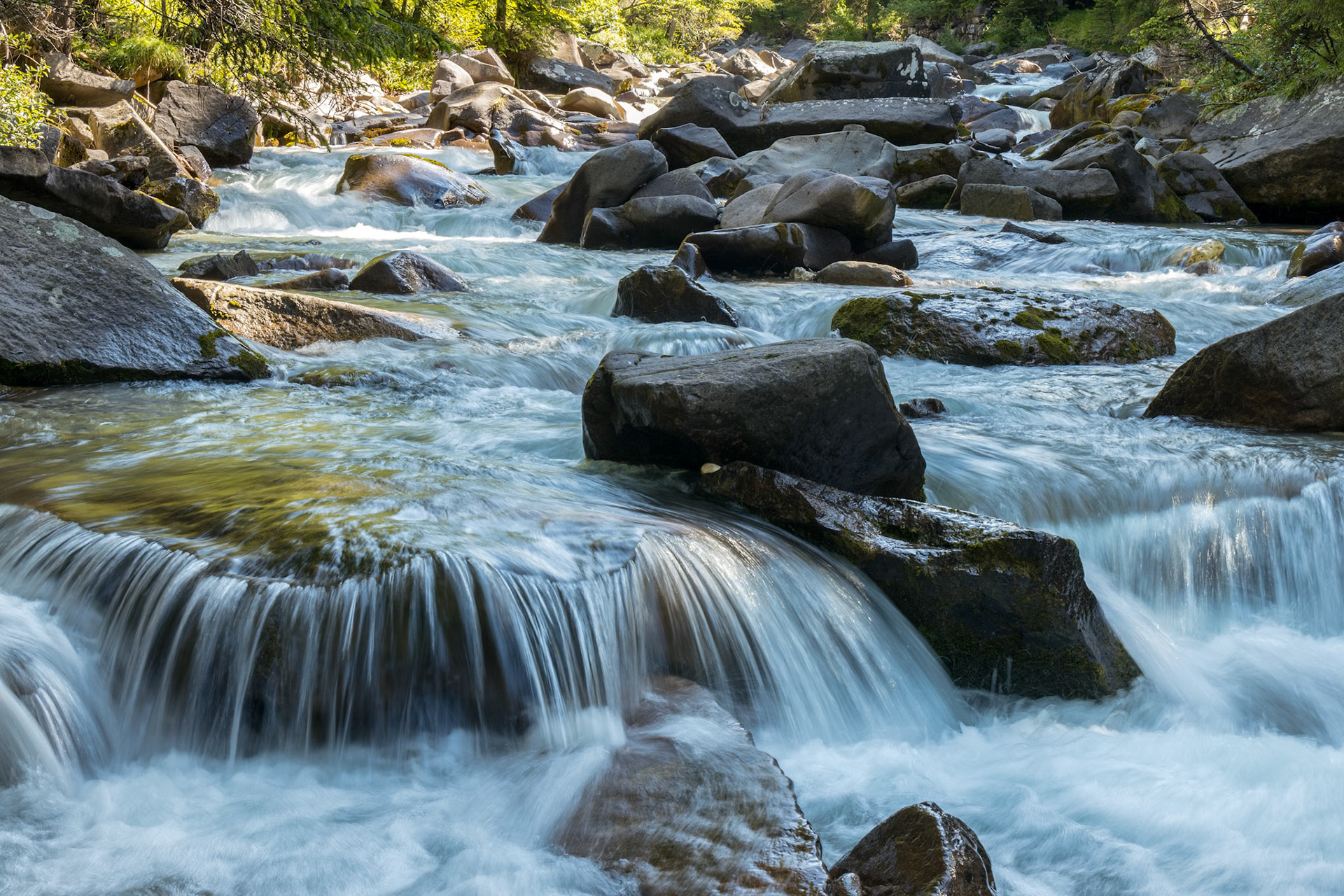 View of the river or torrent in the Natural Park of Paneveggio Pale di San Martino in Tonadico, Trentino, Italy