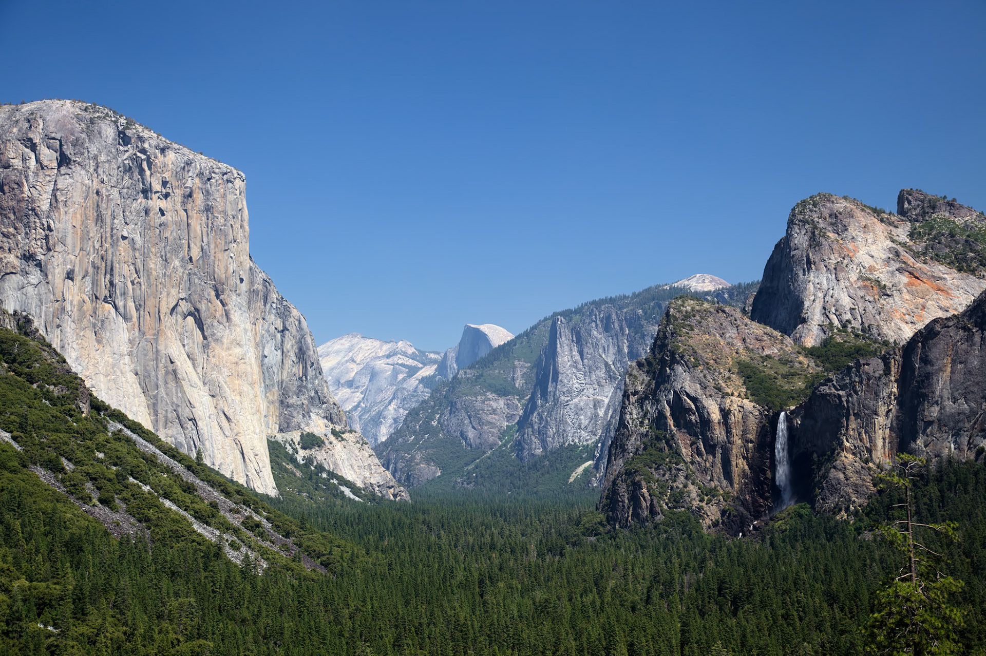 Yosemite Landscape