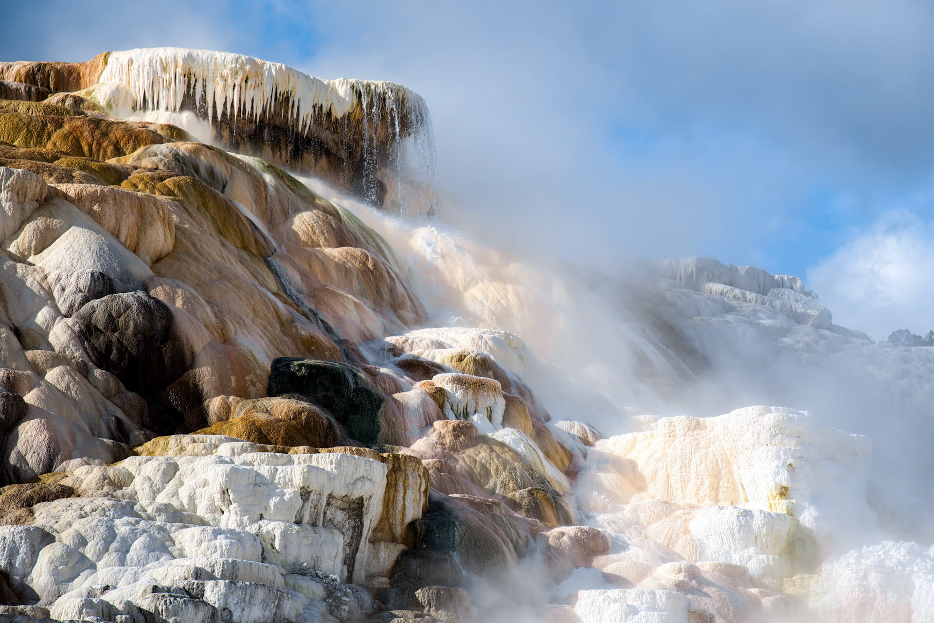 Mammoth Hot Springs