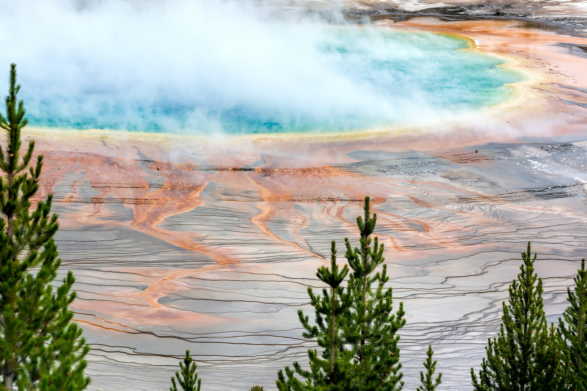 Grand Prismatic Spring