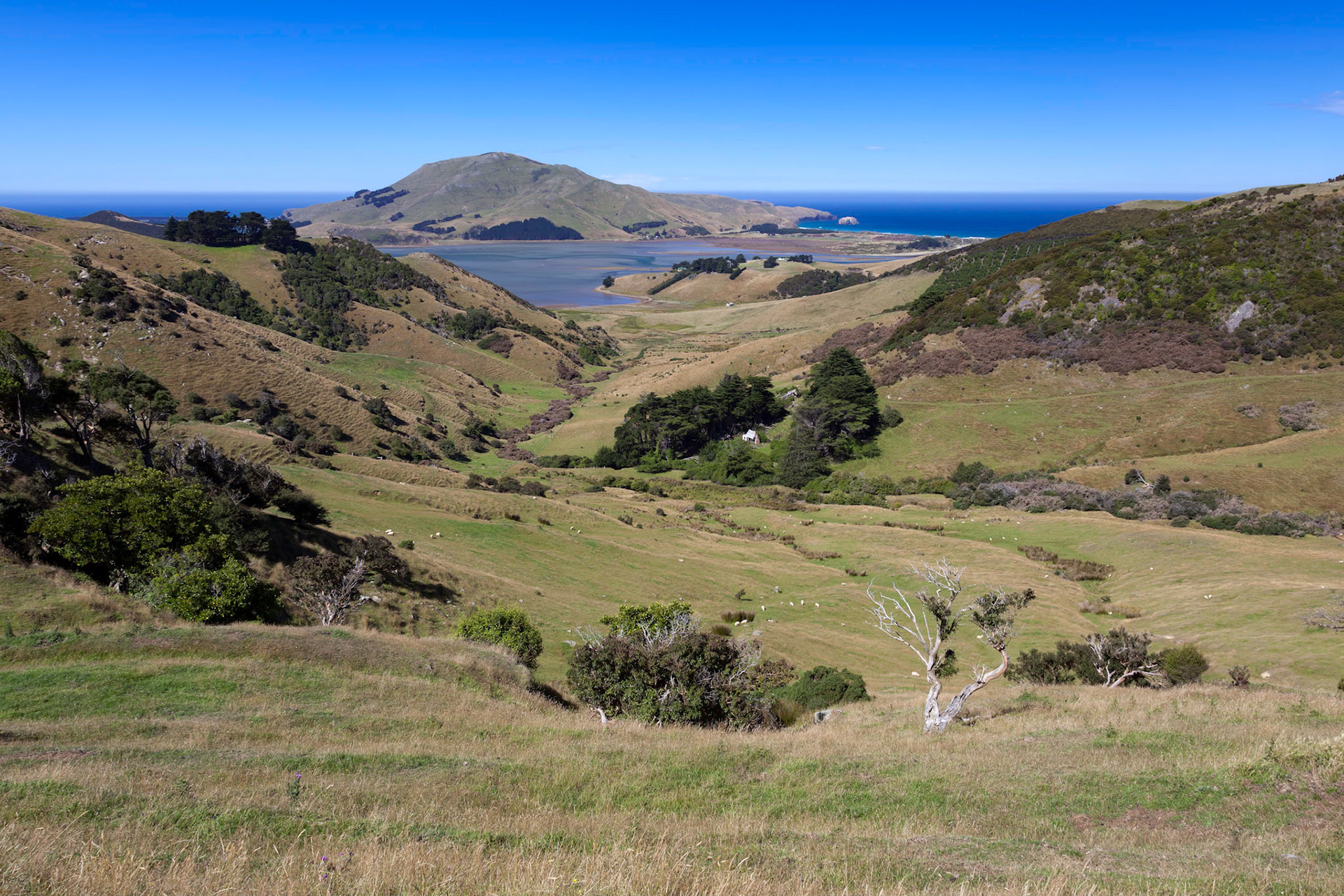 Scenic view of the  countryside in the Otago Peninsula