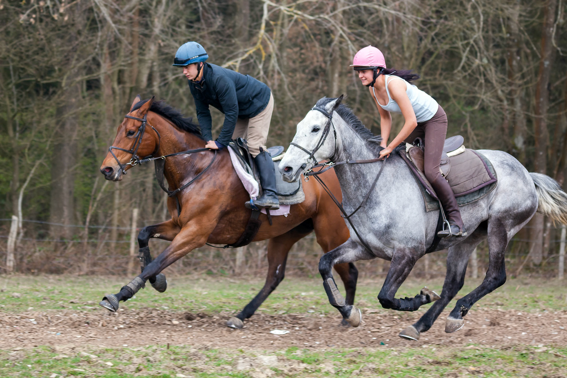 Horse Riding near Ashurst Wood West Sussex