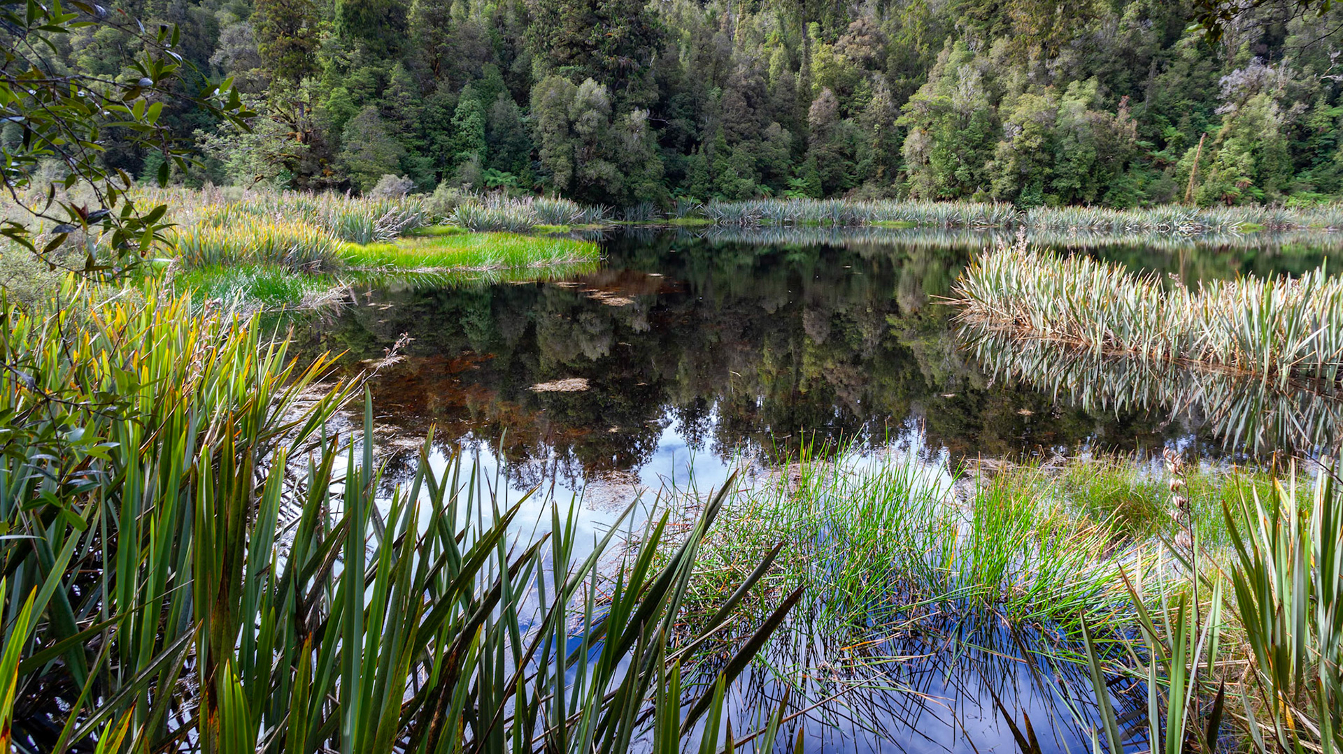 Scenic view of Lake Matheson in New Zealand in summertime