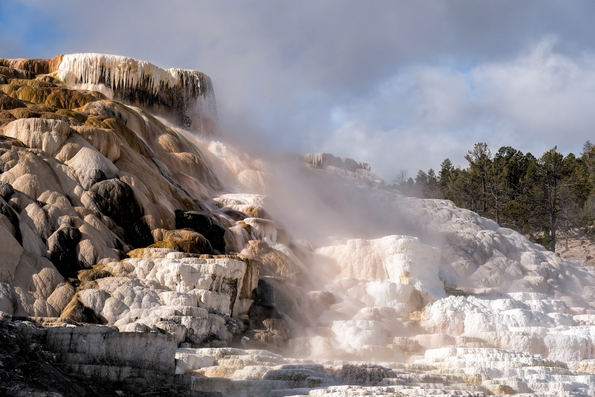 Mammoth Hot Springs