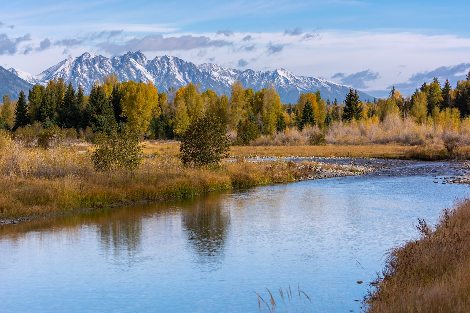 Autumnal Colours in the Grand Teton National Park