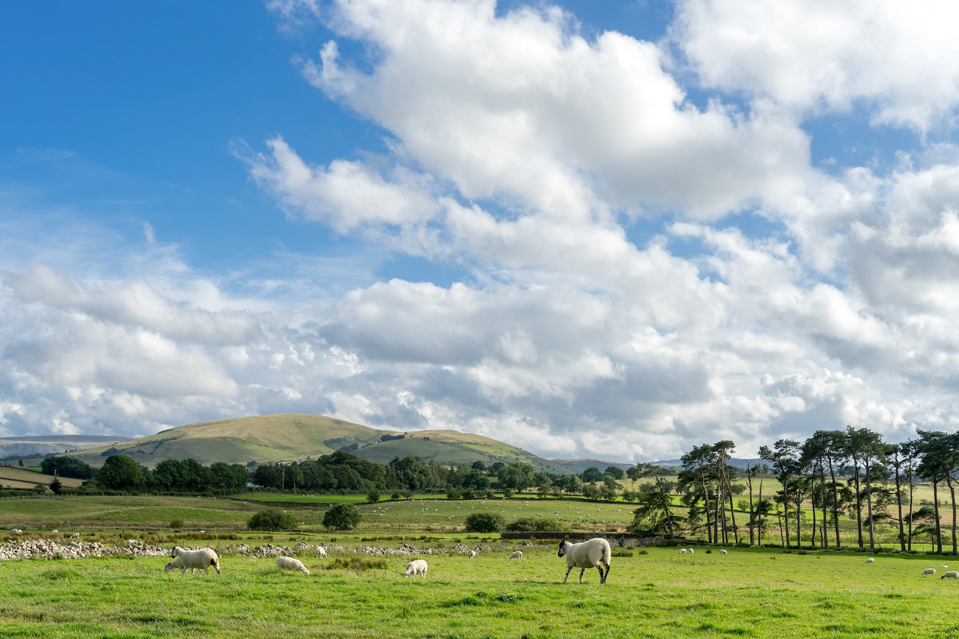 Countryside of the Lake District