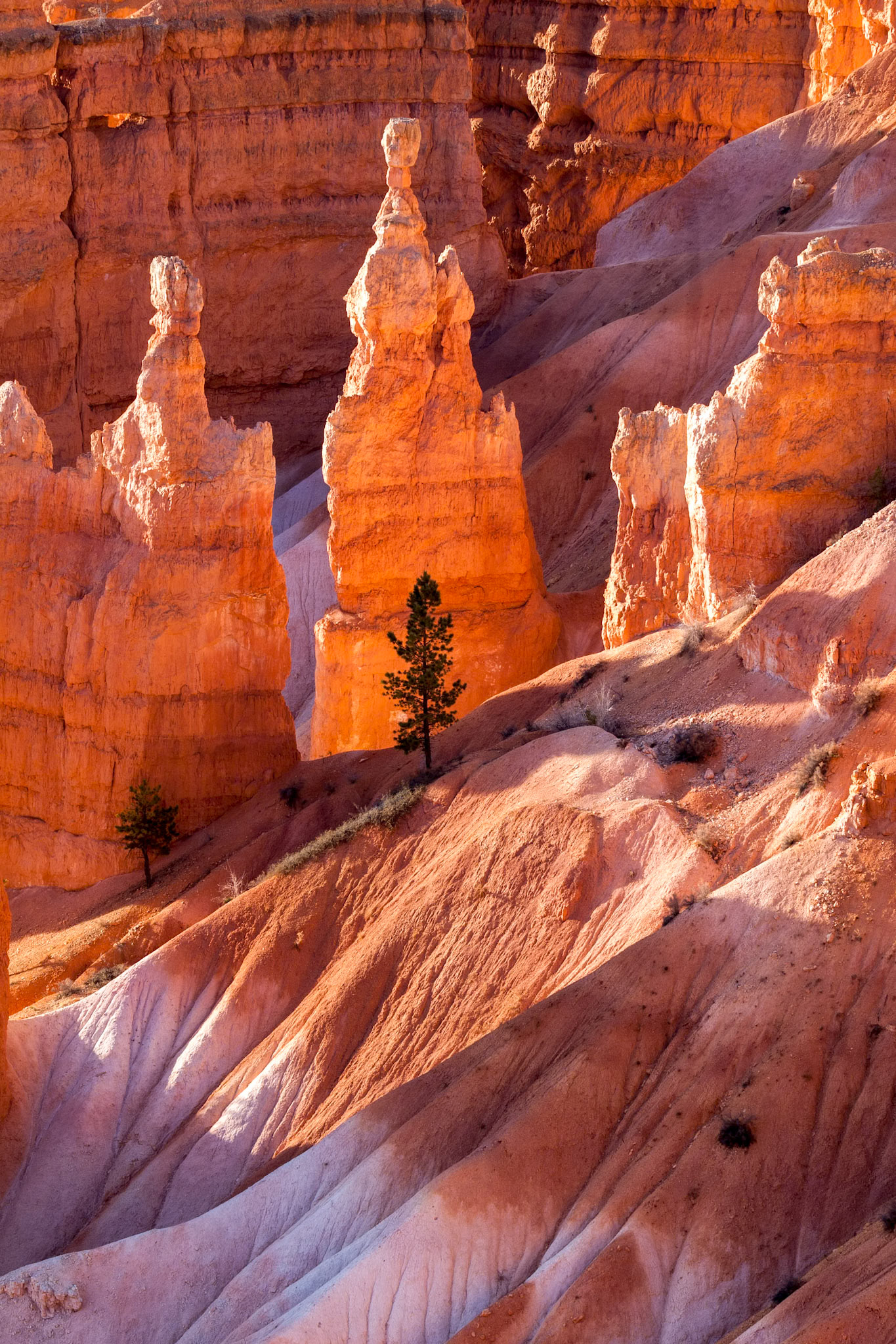 Scenic View of Bryce Canyon