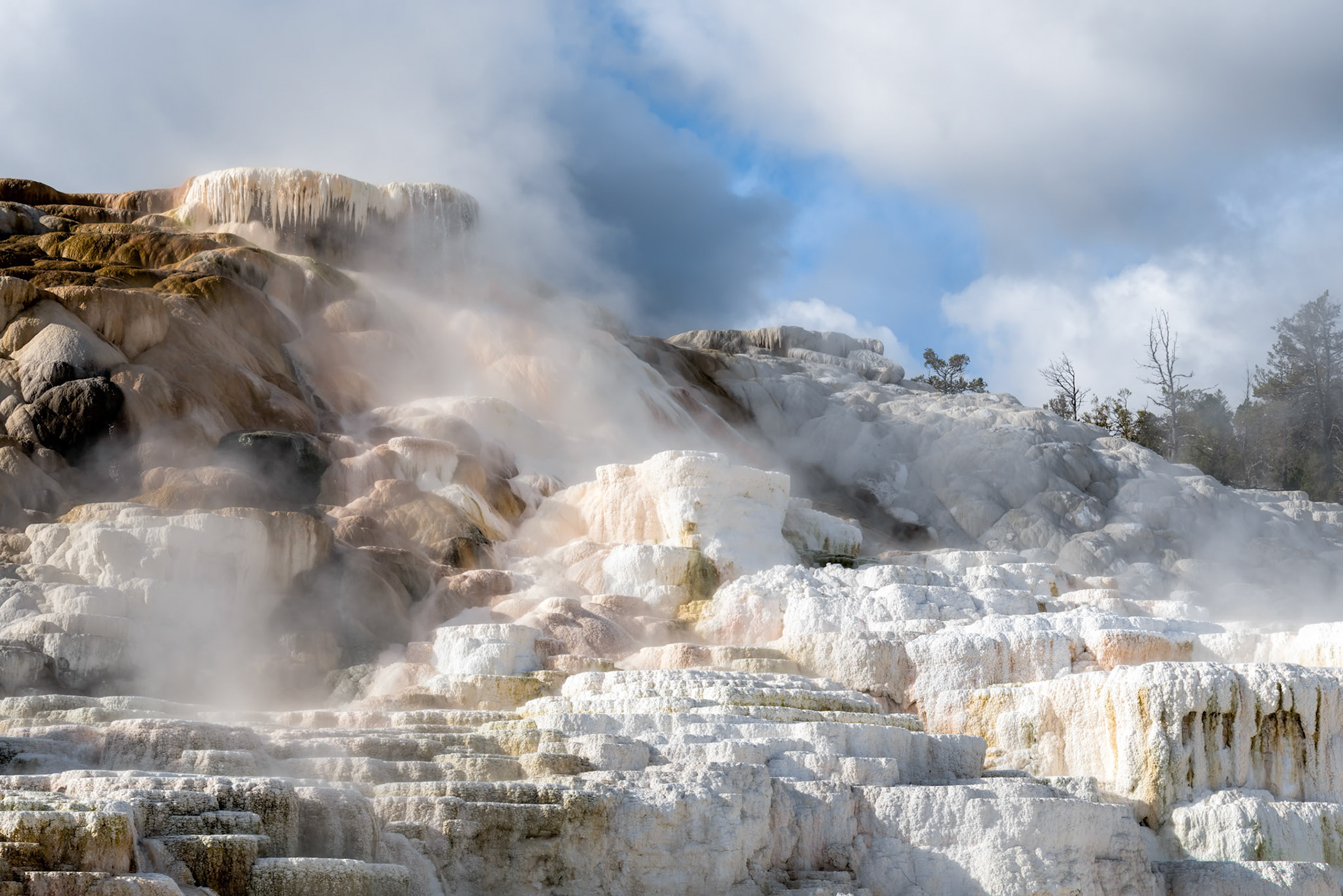 Mammoth Hot Springs