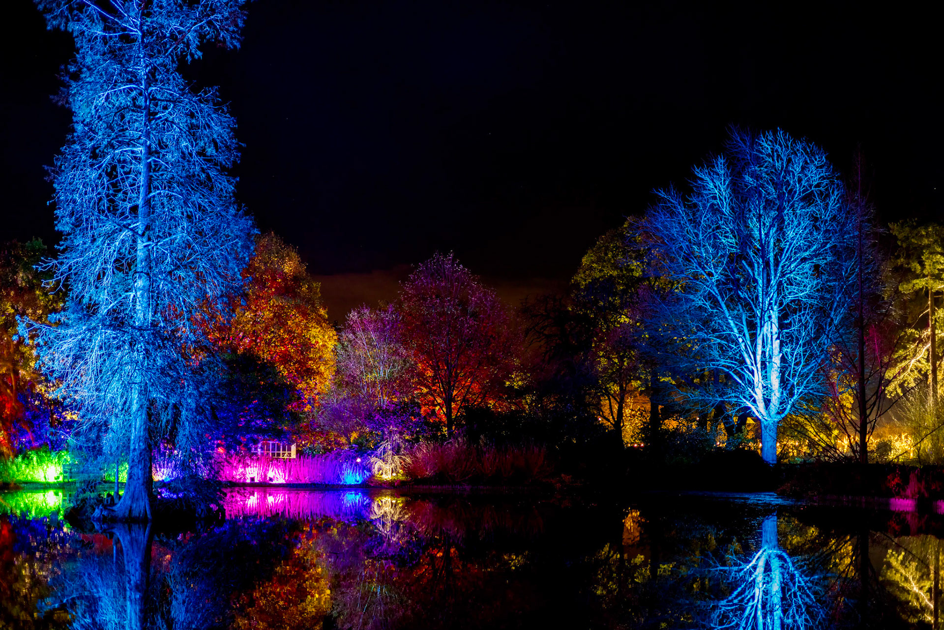 Wisley, Woking, Surrey, UK - November 19 : Christmas Glow 2022 at RHS Garden Wisley, Woking, Surrey, England, UK on November 19, 2022
