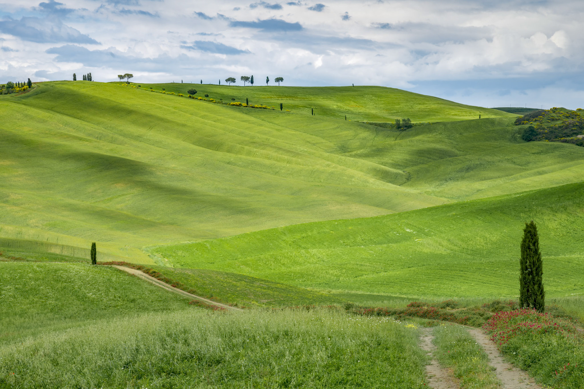 View of the Scenic Tuscan Countryside
