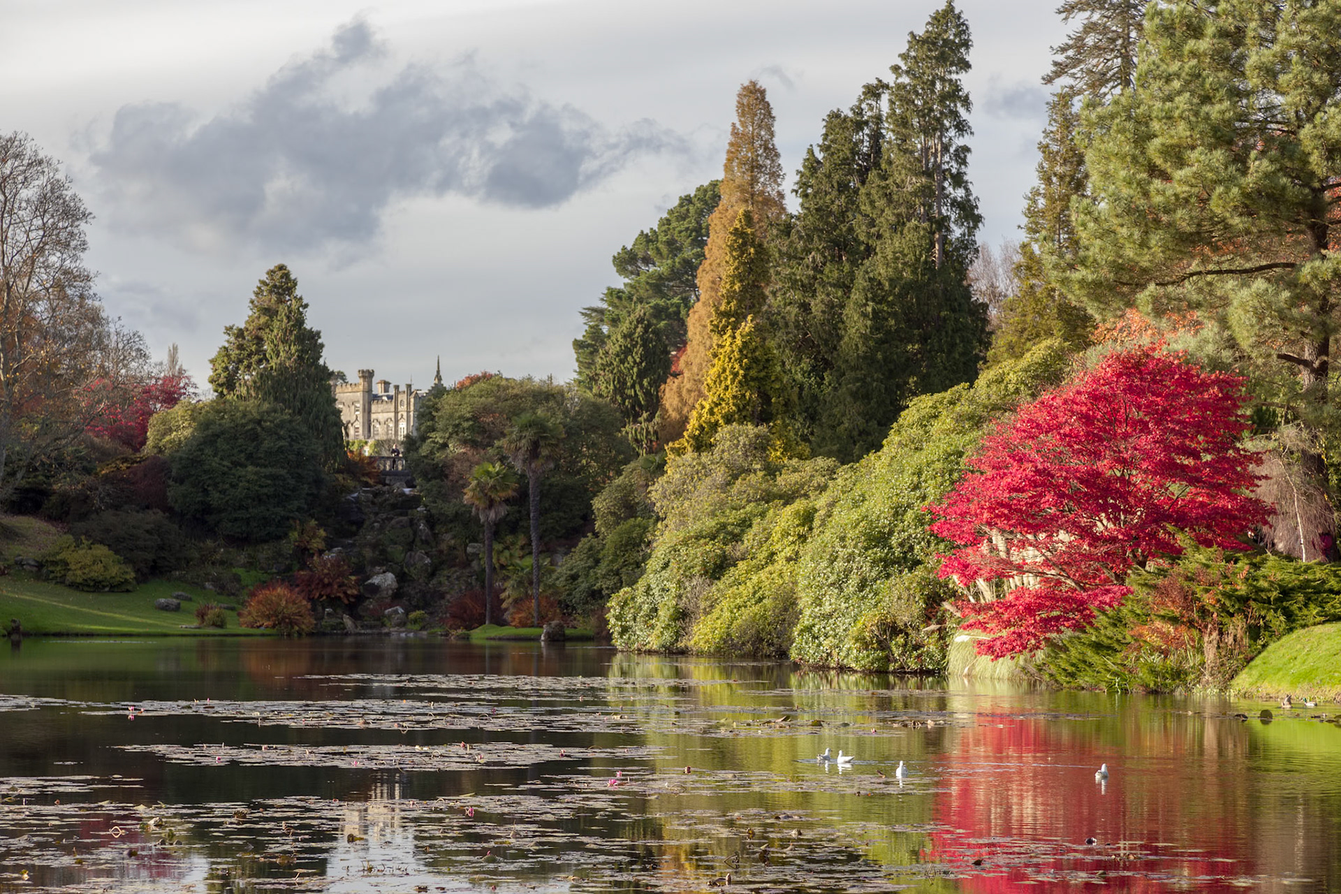 Sheffield Park Gardens
