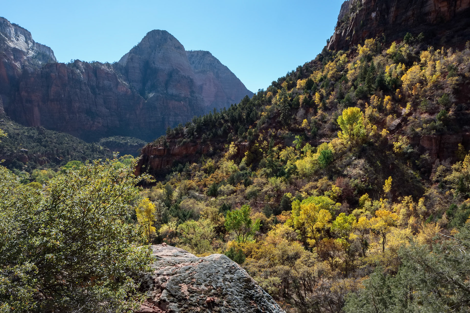 Beautiful Valley in Zion National Park