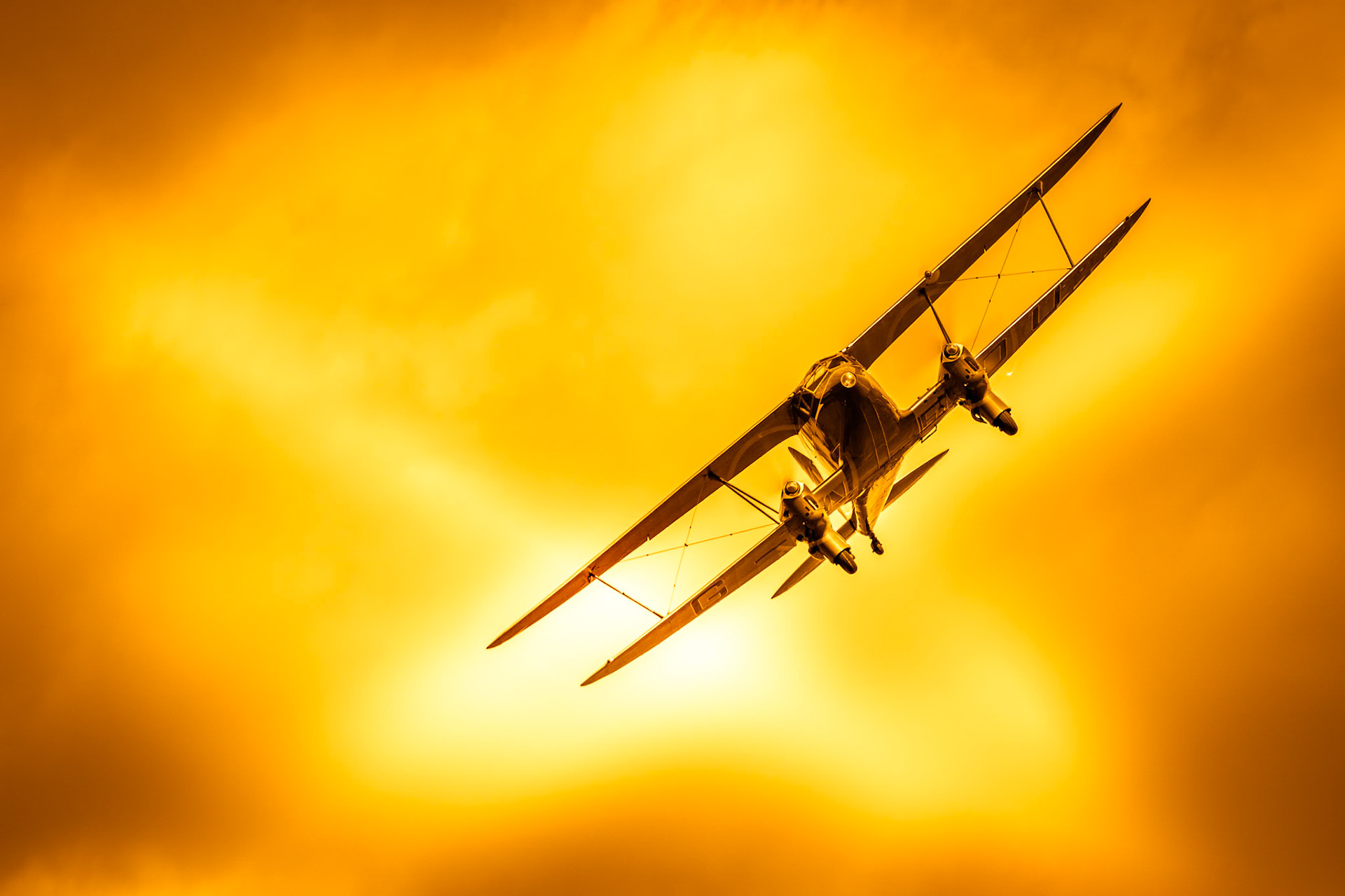 De Havilland DH90 Dragonfly at Shoreham airshow