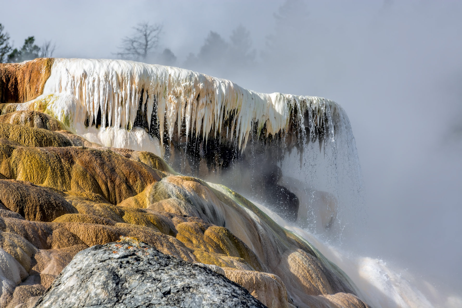 Mammoth Hot Springs