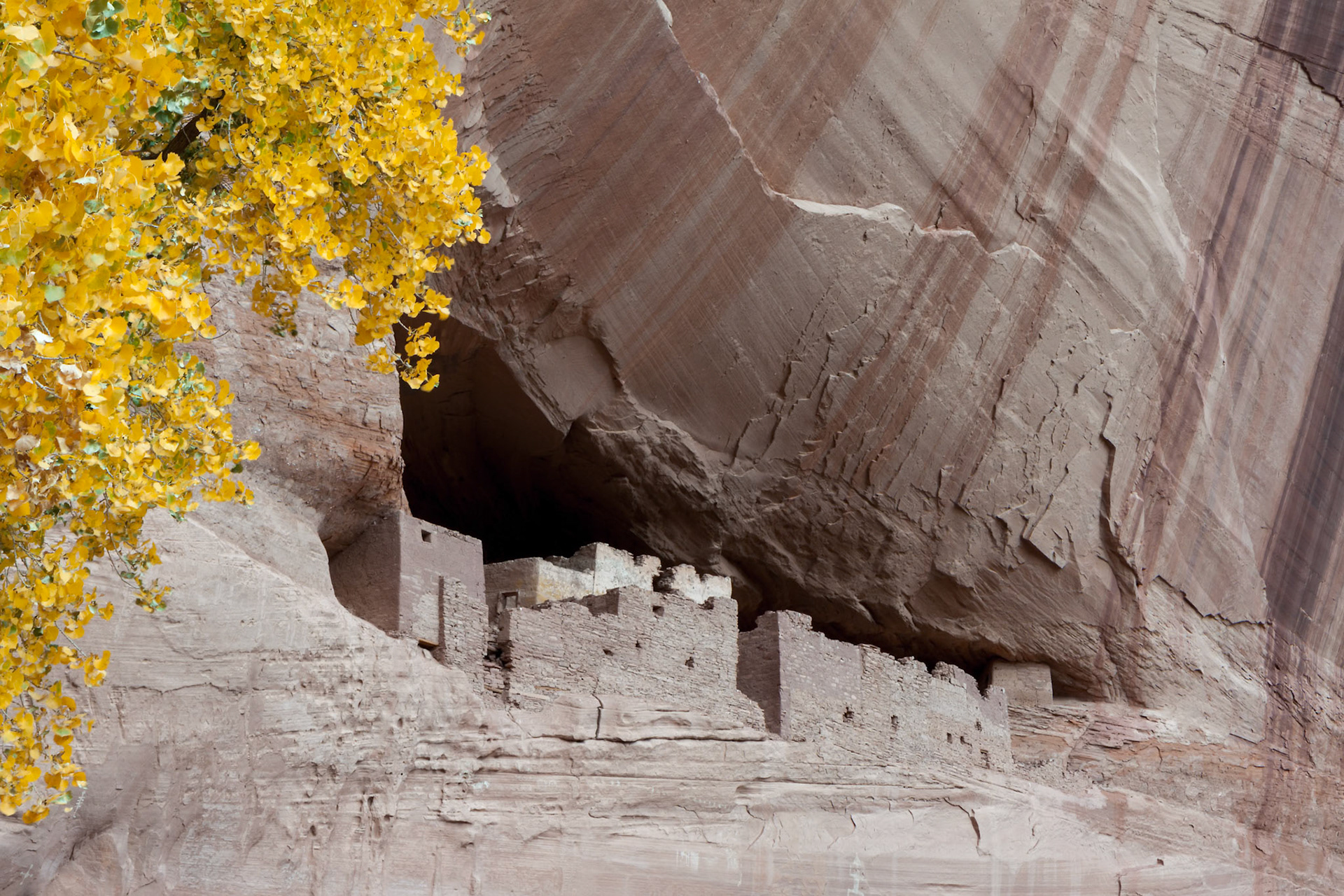 The White House Canyon de Chelly