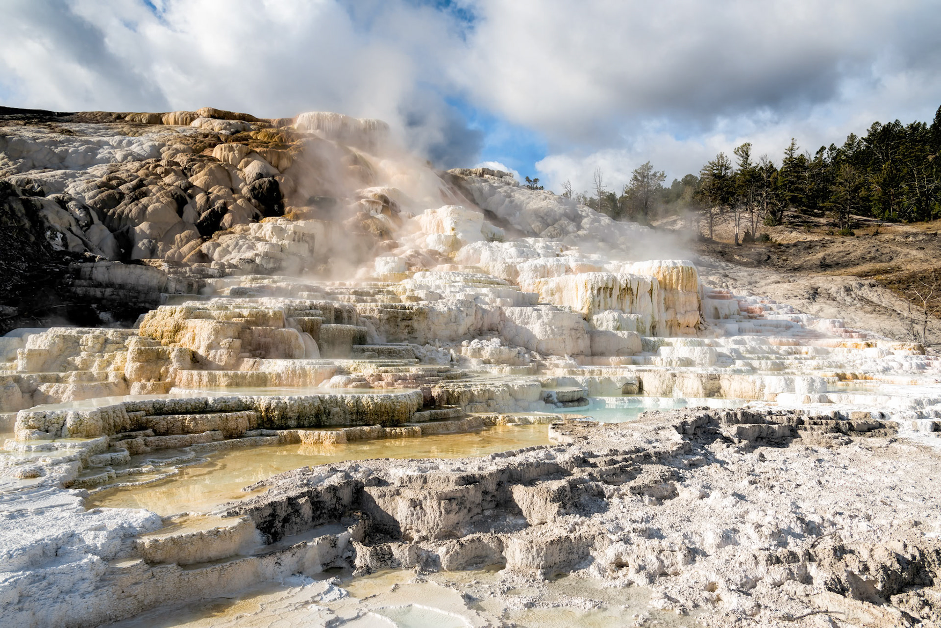 Mammoth Hot Springs