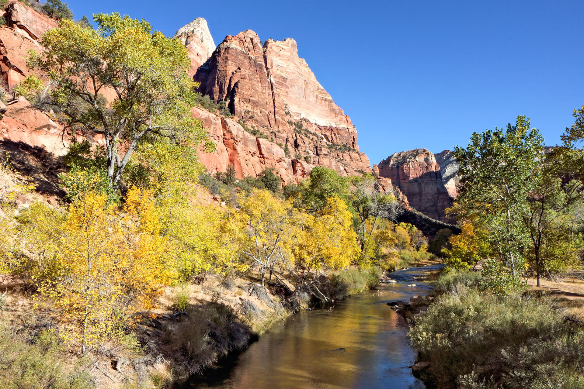 Virgin River Meandering through the Mountains of Zion