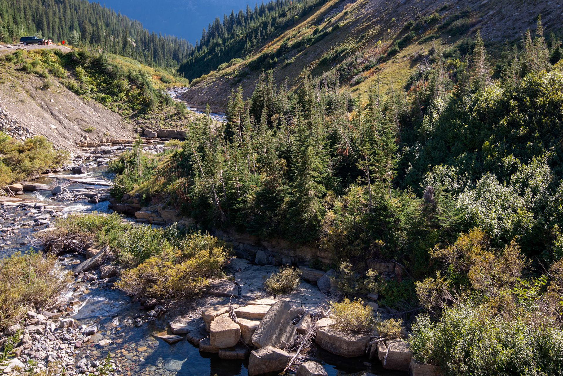 Creek in Glacier National Park next to the Going to the Sun Road