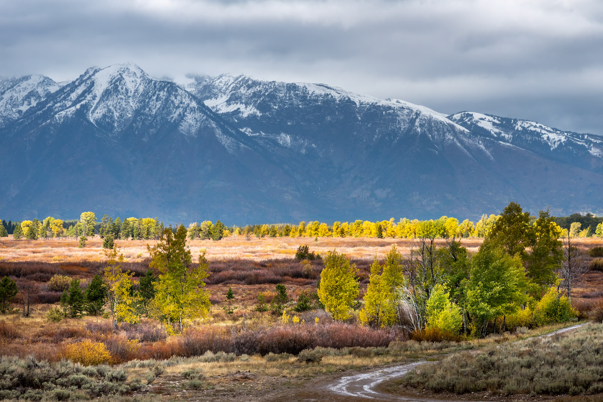 Autumn in the Grand Tetons, Wyoming