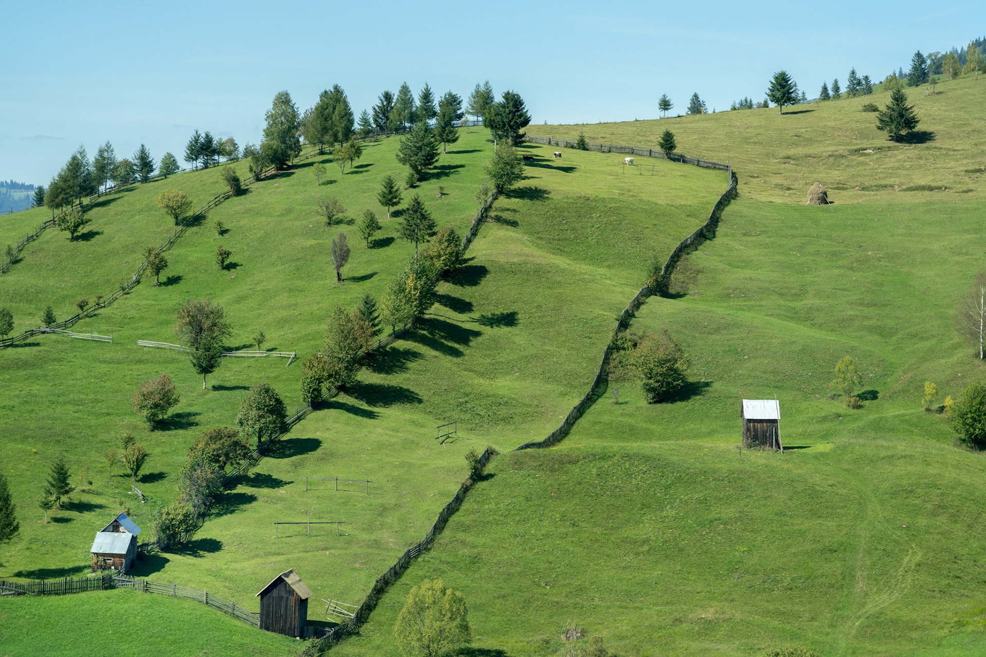 CAMPULUNG MOLDOVENESC, TRANSYLVANIA/ROMANIA - SEPTEMBER 18 : Farmland near  Campulung Moldovenesc Transylvania Romania on September 18, 2018