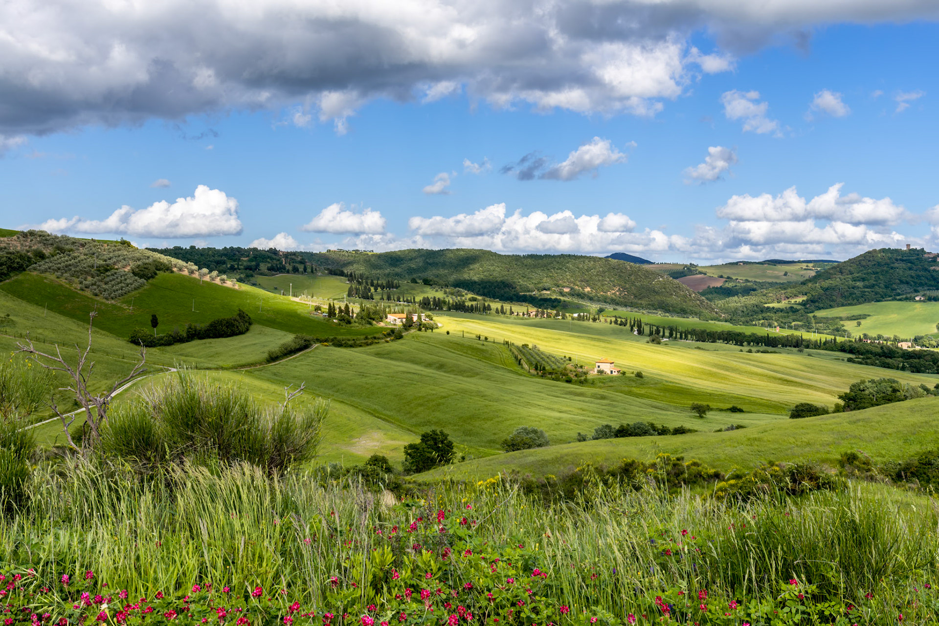 VAL D'ORCIA, TUSCANY/ITALY - MAY 17 : Farmland in Val d'Orcia Tuscany on May 17, 2013