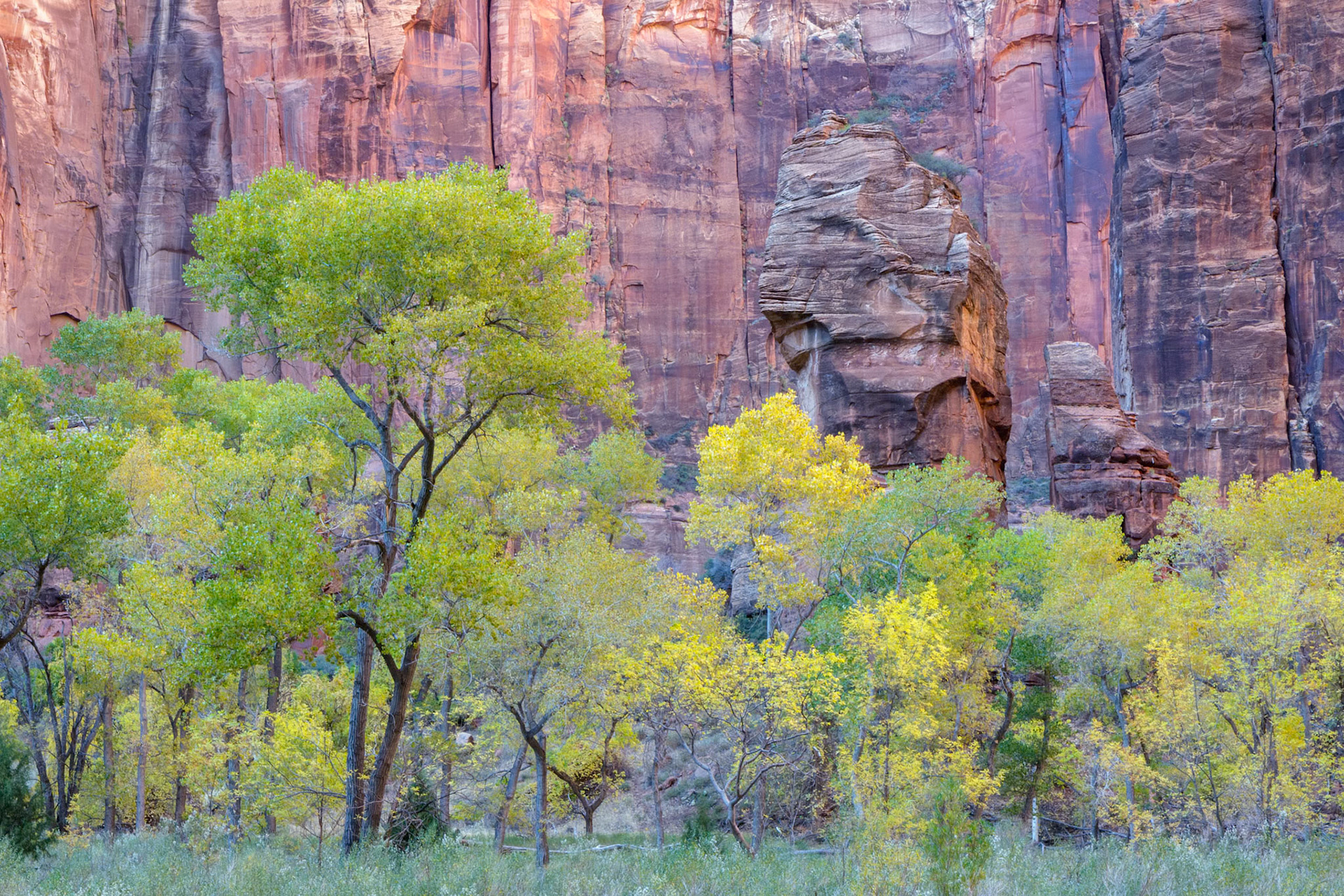 Pulpit Rock in Zion National Park