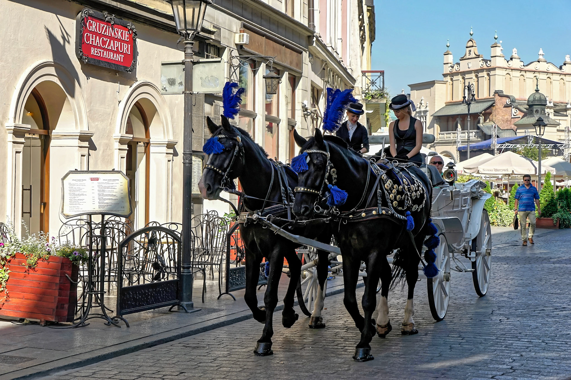 Carriage and Horses in Krakow