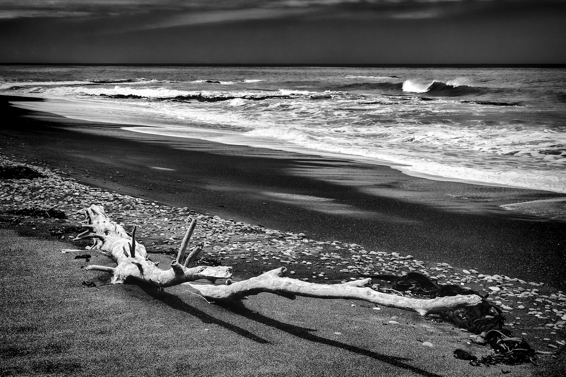 Driftwood on Rarangi Beach