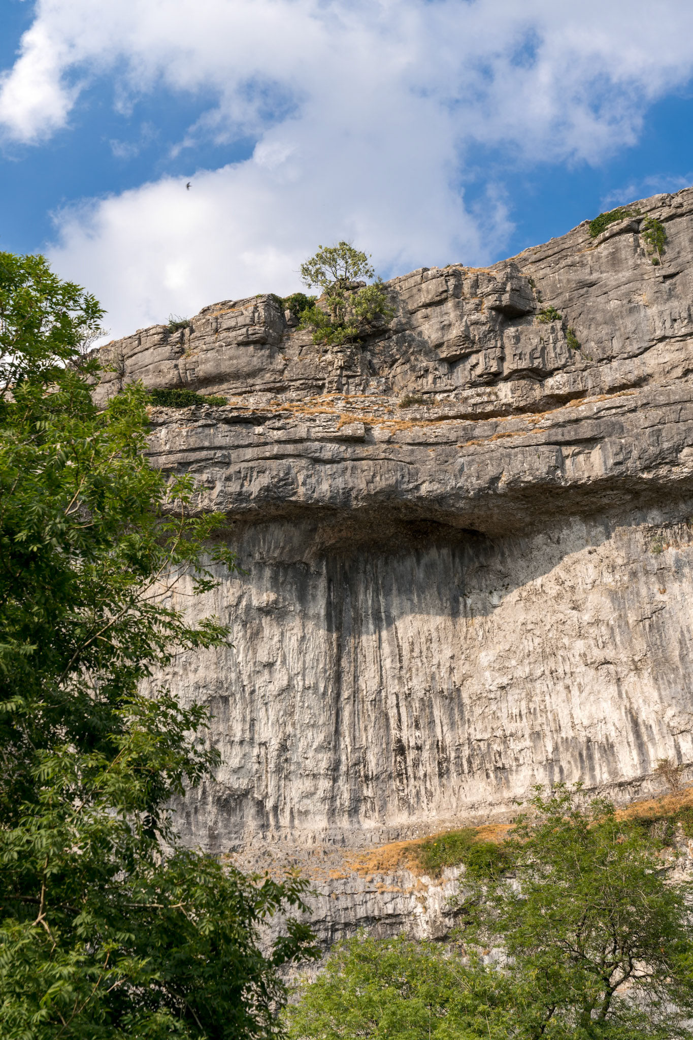 View of the curved cliff at Malham Cove in the Yorkshire Dales National Park