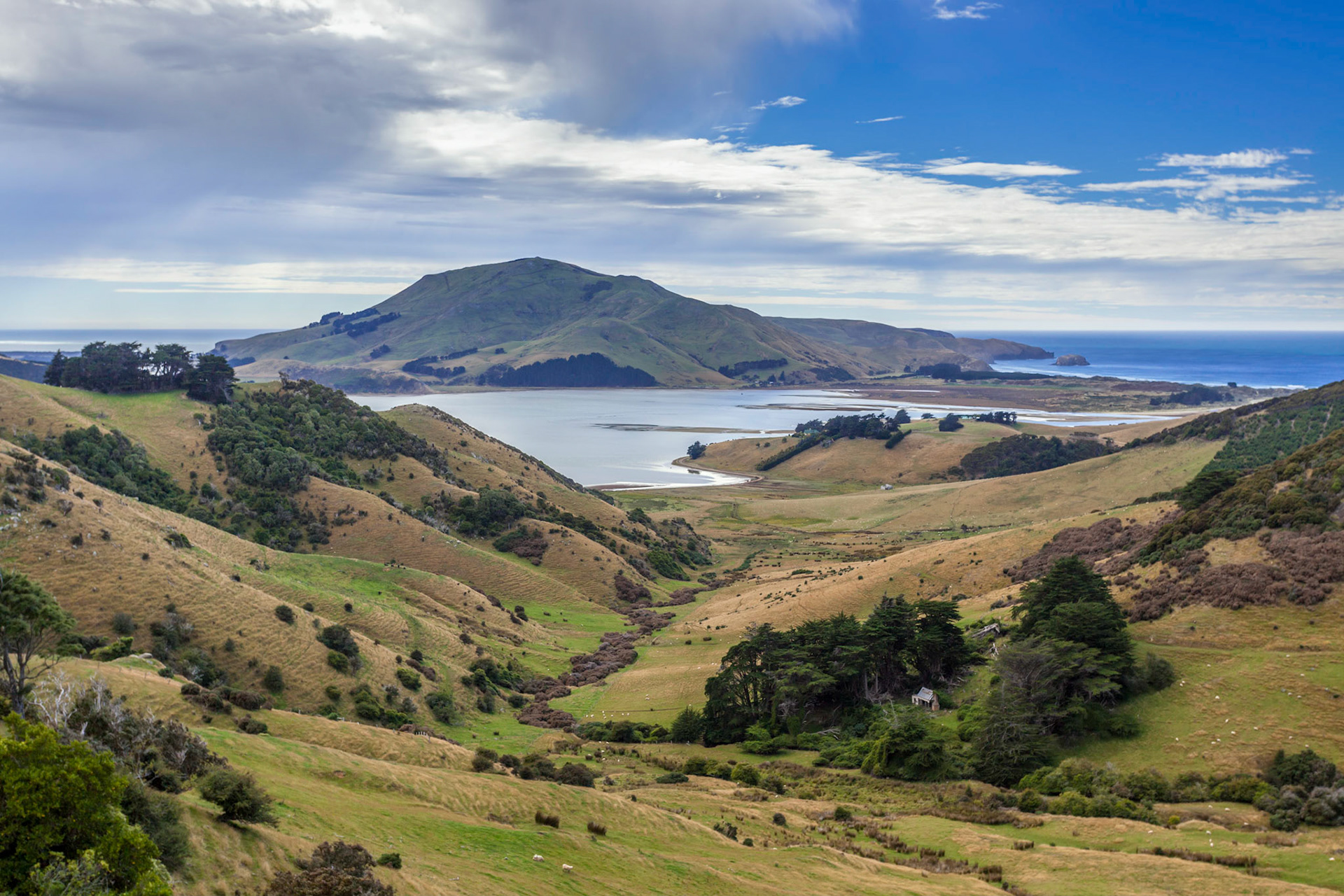 The Otago Peninsula New Zealand