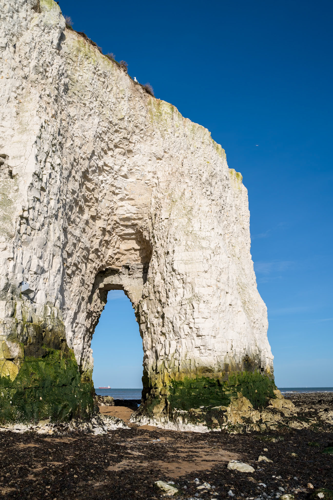 View of chalk cliffs at Botany Bay near Broadstairs in Kent