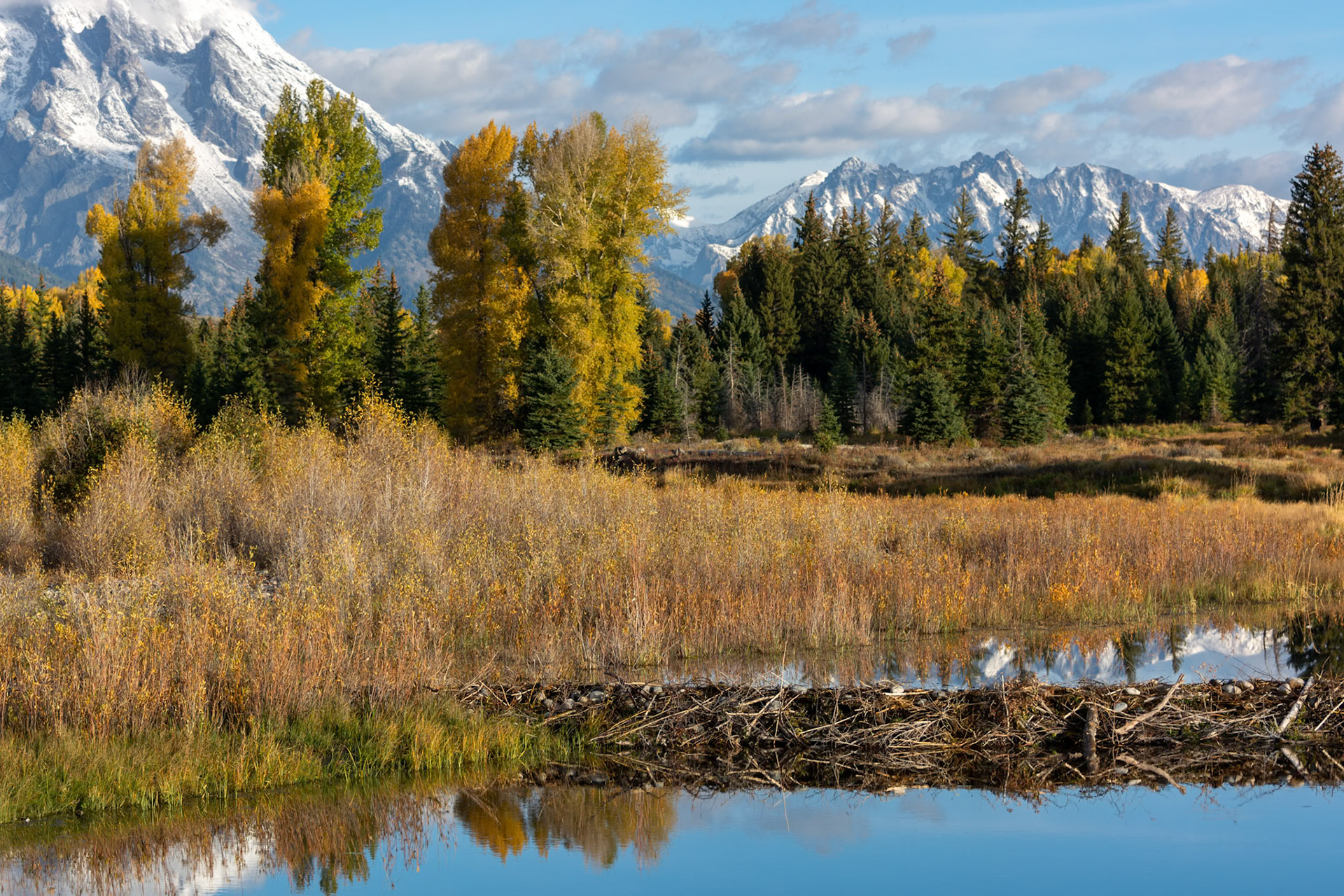 Beaver Dam at Schwabachers Landing