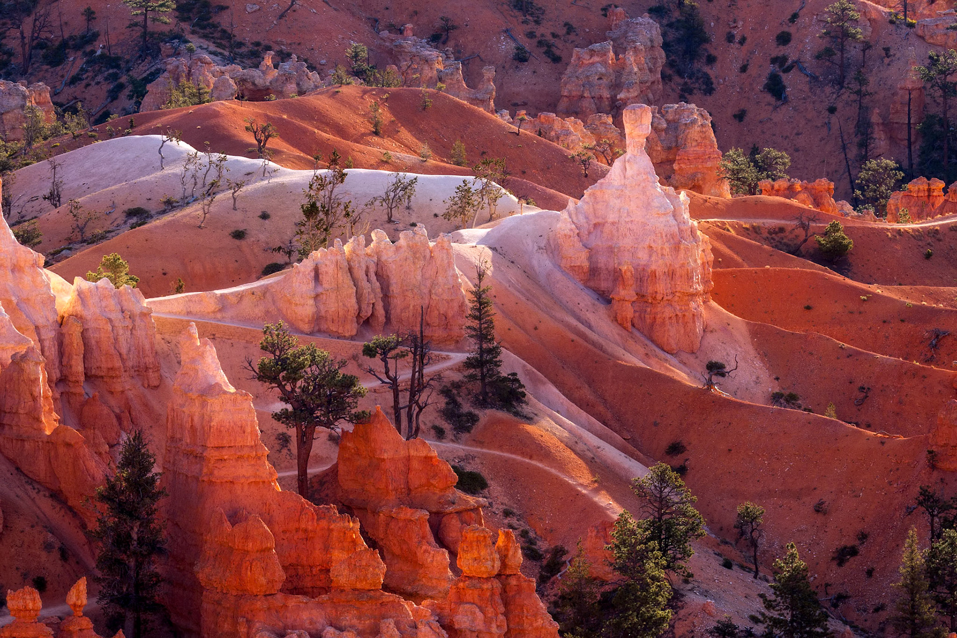 Scenic View of Bryce Canyon
