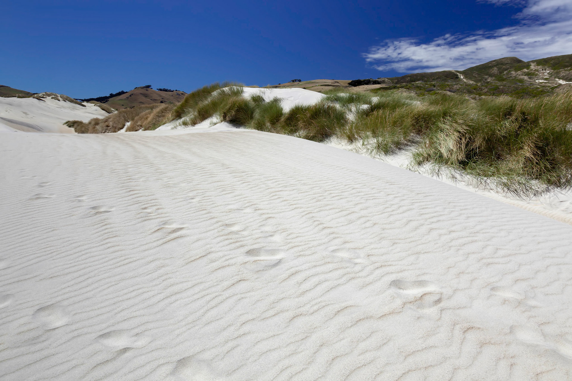 A spectacular sand dune at Sandfly Bay