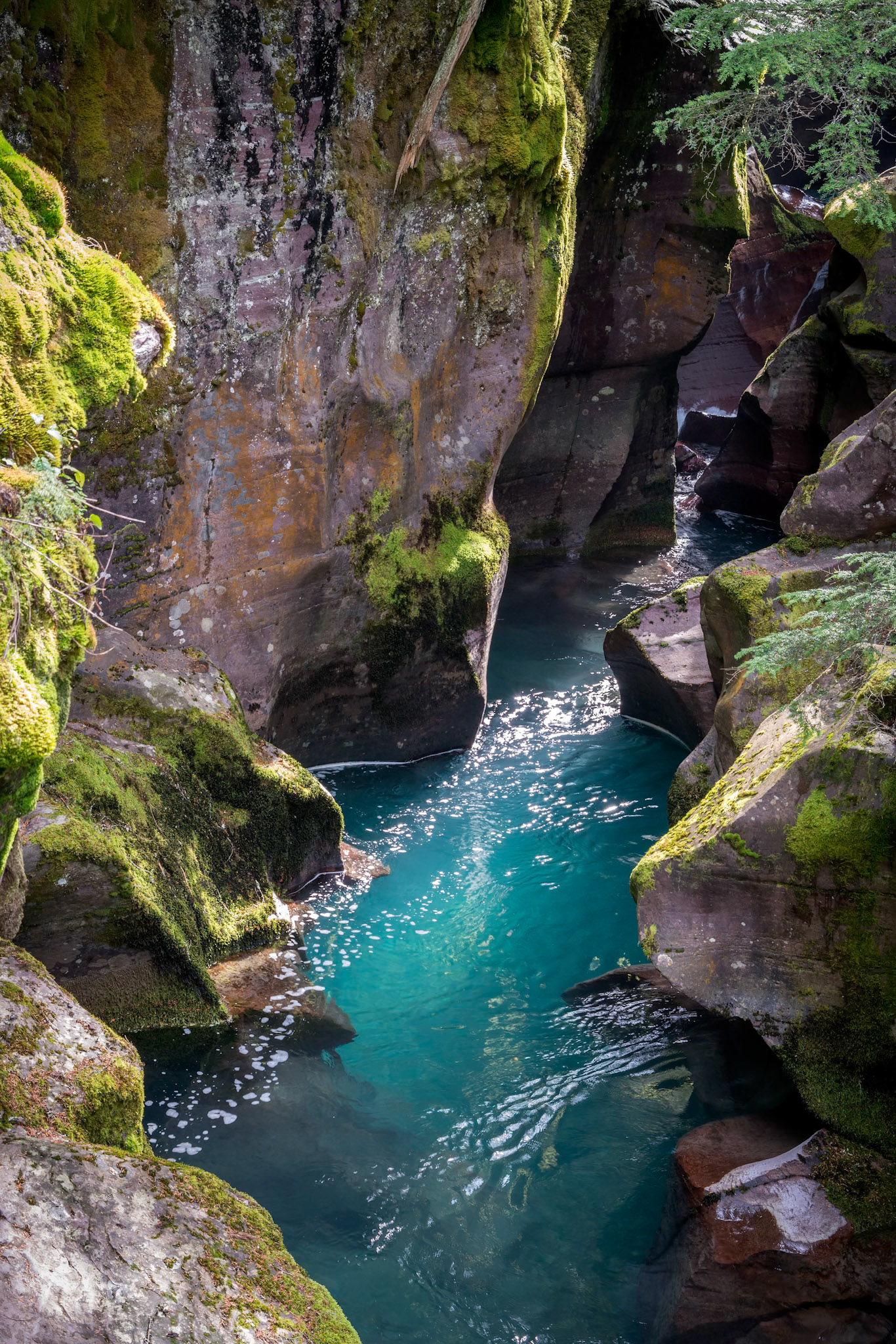 Avalanche Creek