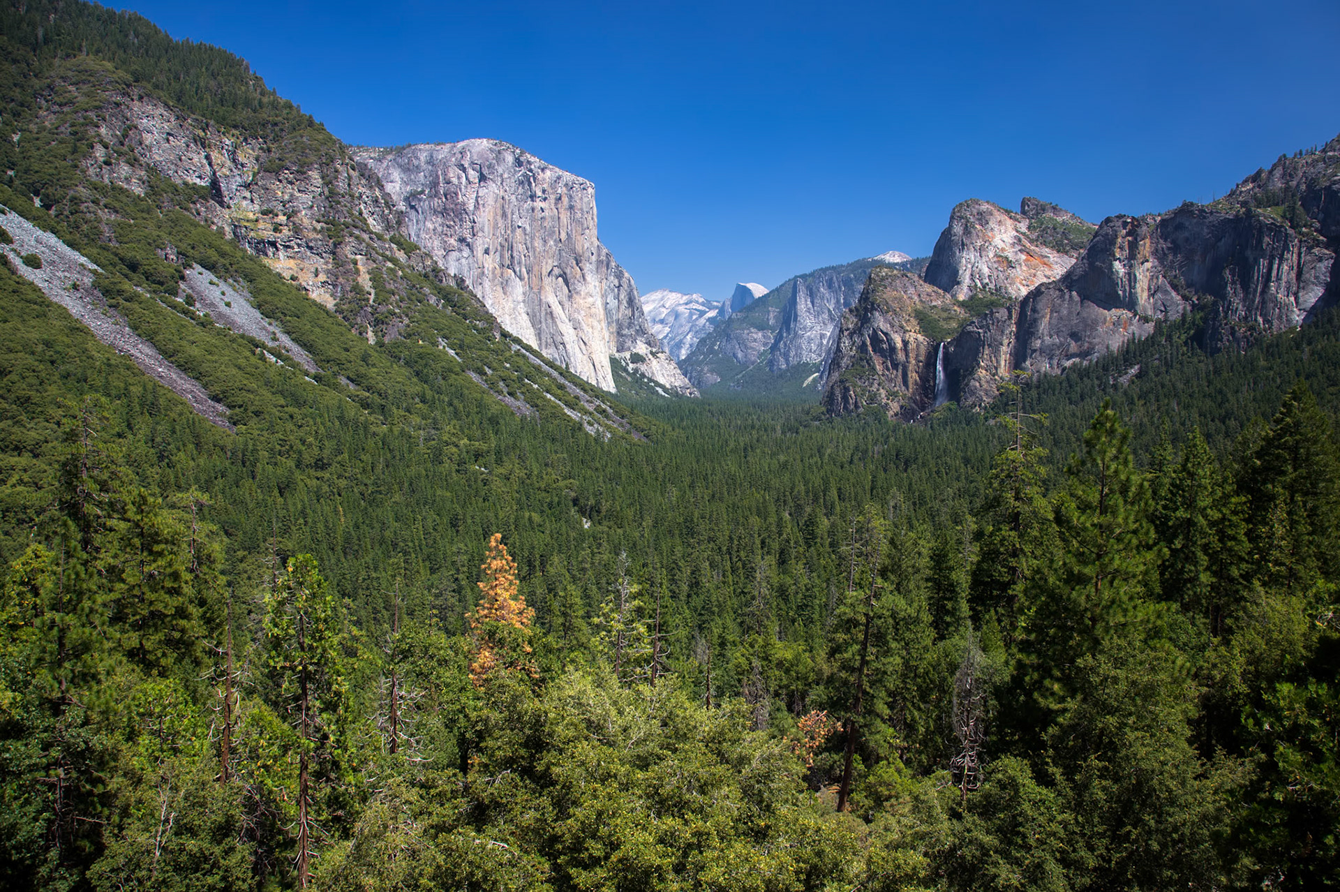 Yosemite Landscape