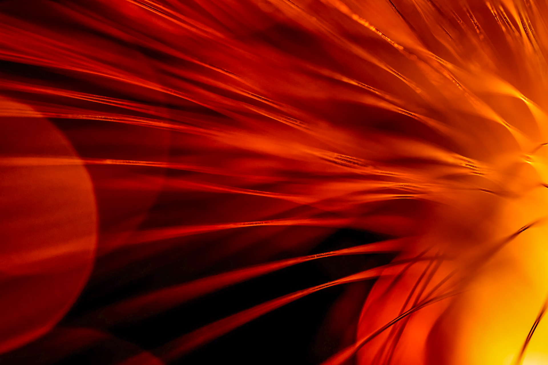 Fibre Optic Abstract