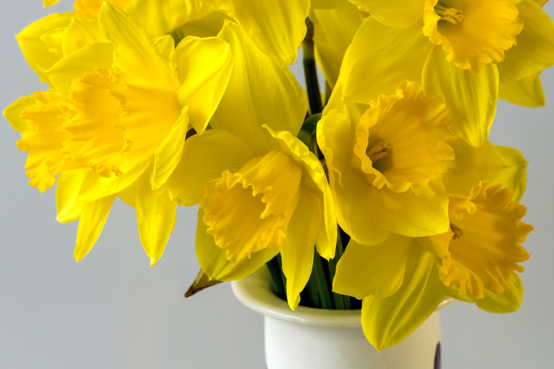 A bunch of of golden Daffodils in a decorated ceramic vase