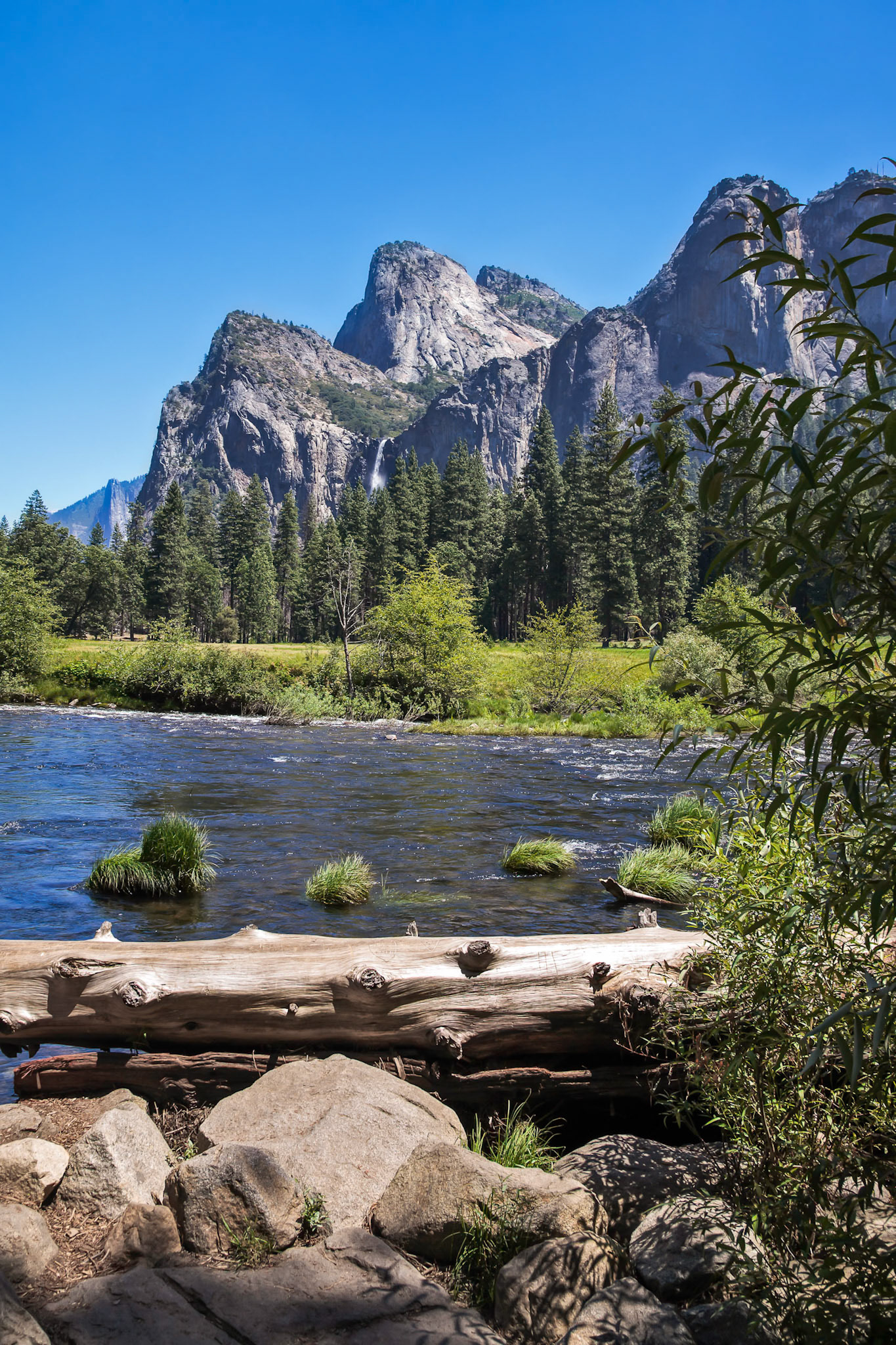 Yosemite Landscape