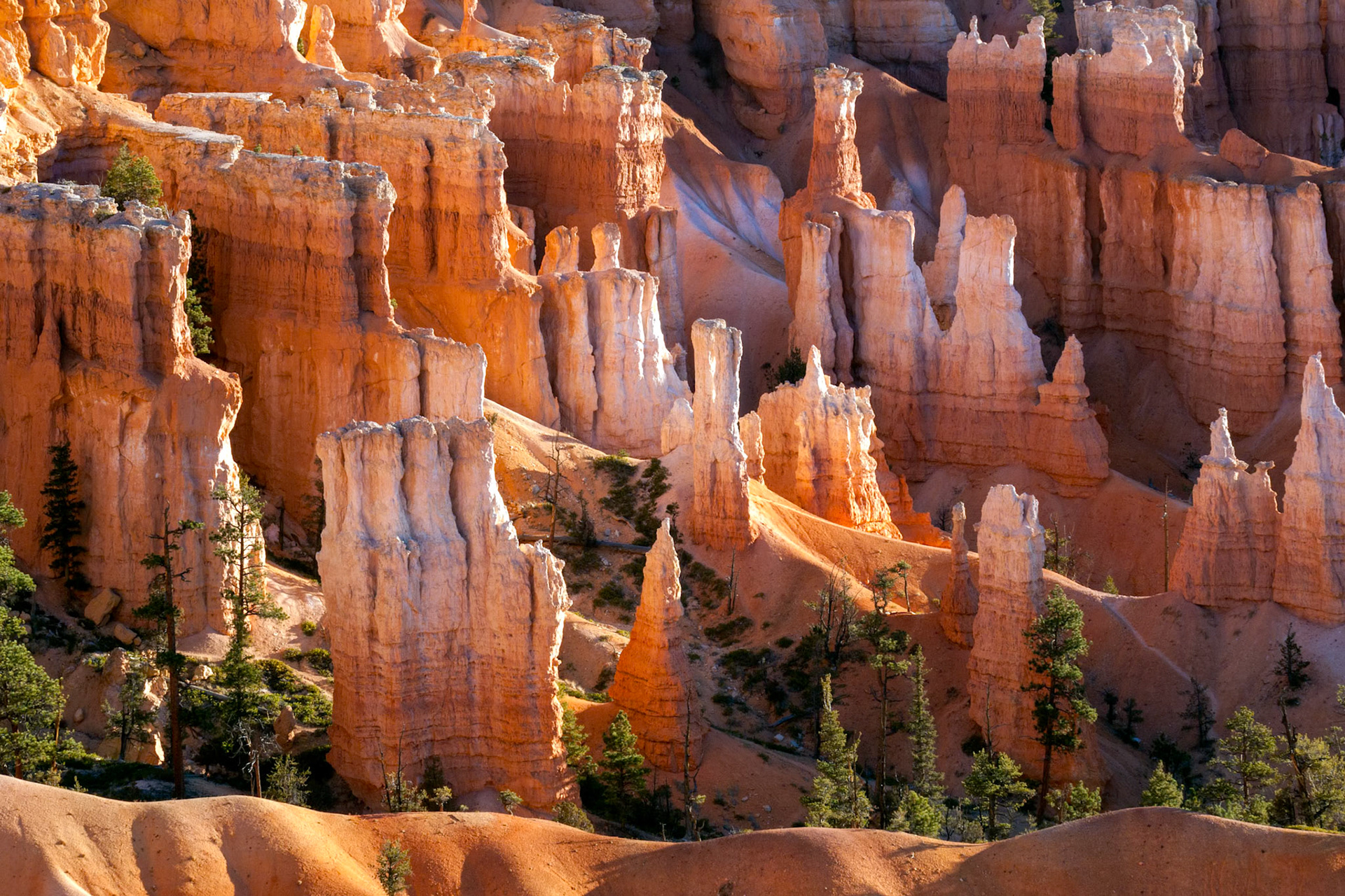 Scenic view of Bryce Canyon Southern Utah USA