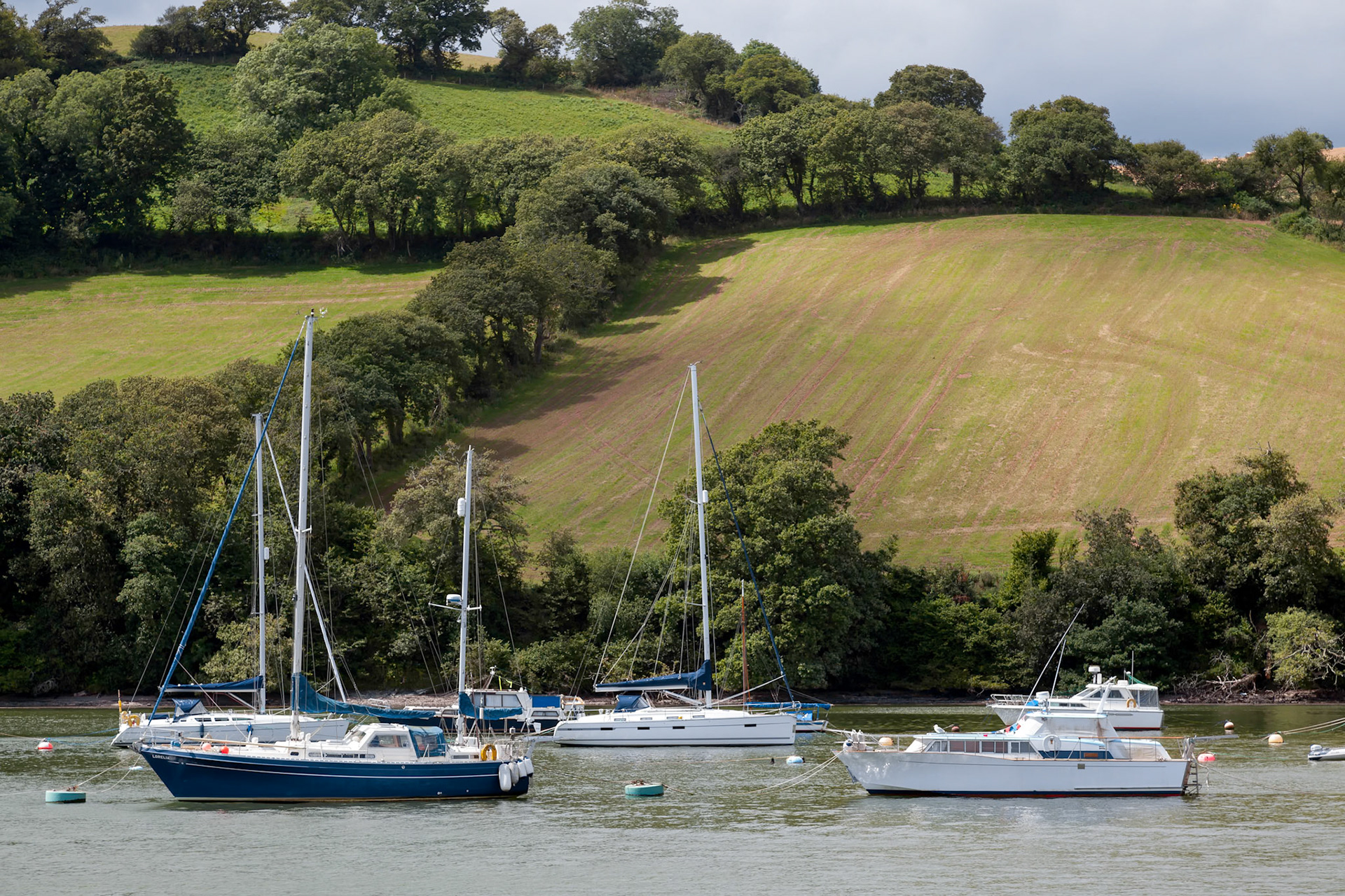 Boats Moored on the River Dart
